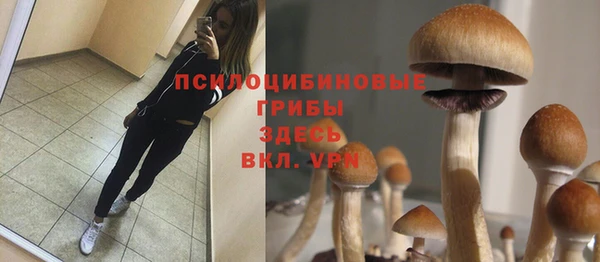 мдма Белокуриха