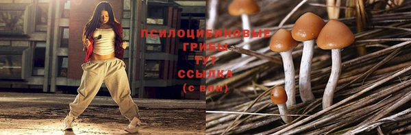 мдма Белокуриха