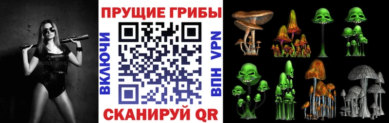 darknet официальный сайт магазин продажи Пионерский Псилоцибиновые грибы Magic Shrooms